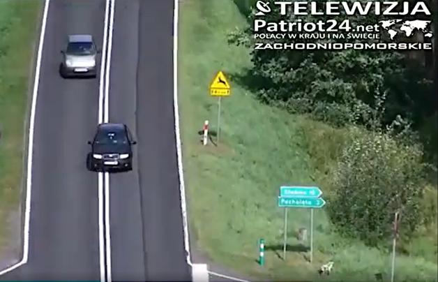 [VIDEO] Wykroczenia drogowe - w obiektywie policyjnego drona
